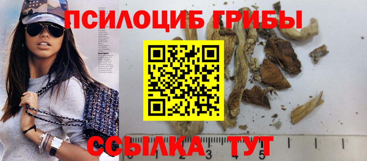 Галлюциногенные грибы GOLDEN TEACHER  Вход с VPN  где купить наркоту  Дивногорск 